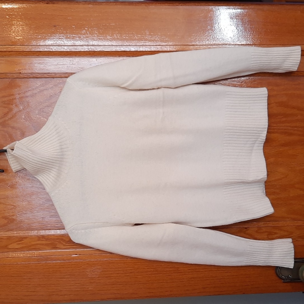 LOFT Wool Turtleneck Sweater